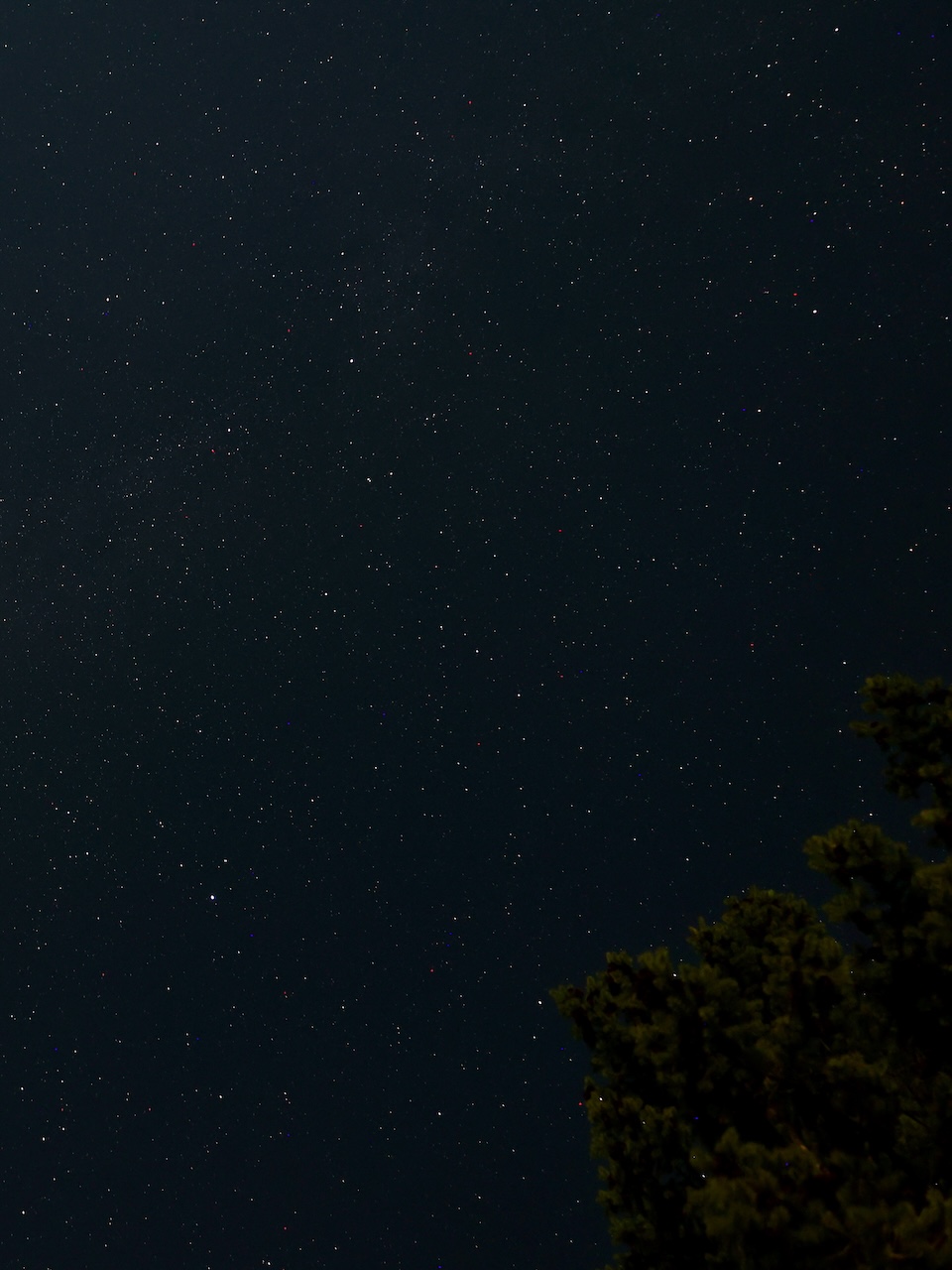Seein' Stars I - Mayne Island